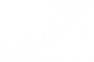 Foot Health